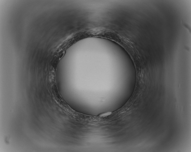 X0000100841349200807111141