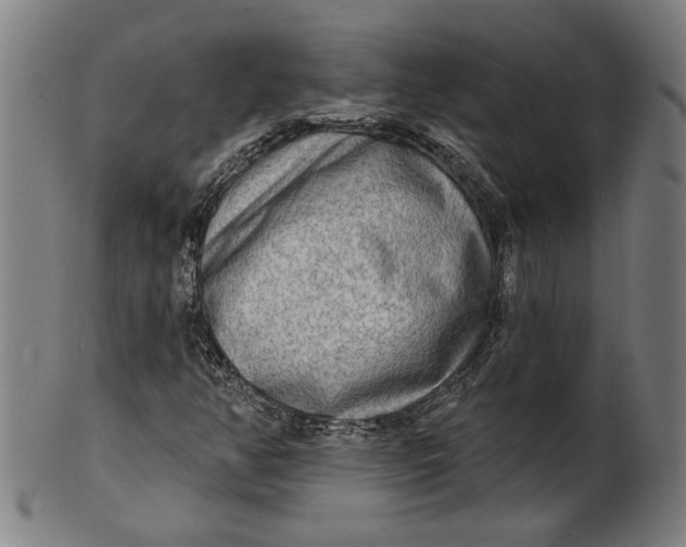 X0000100841350200807111141