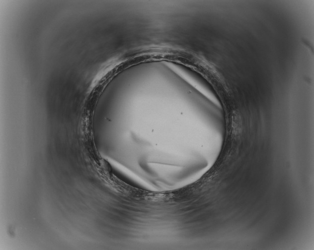 X0000100841352200807111141