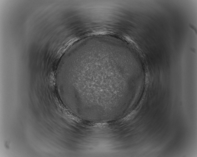 X0000100841353200807111141