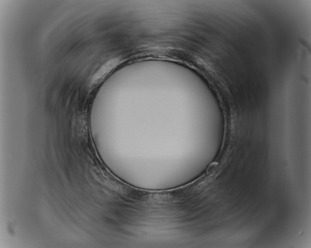 X0000100841354200807111141