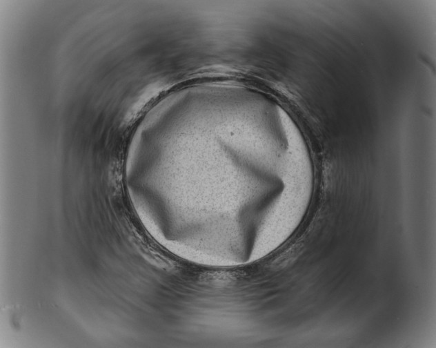 X0000100841355200807111141