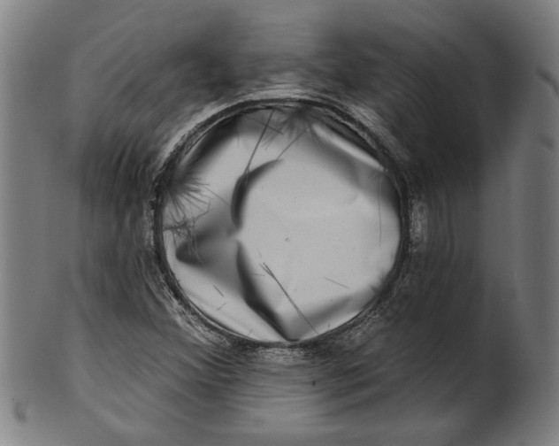 X0000100841356200807111141