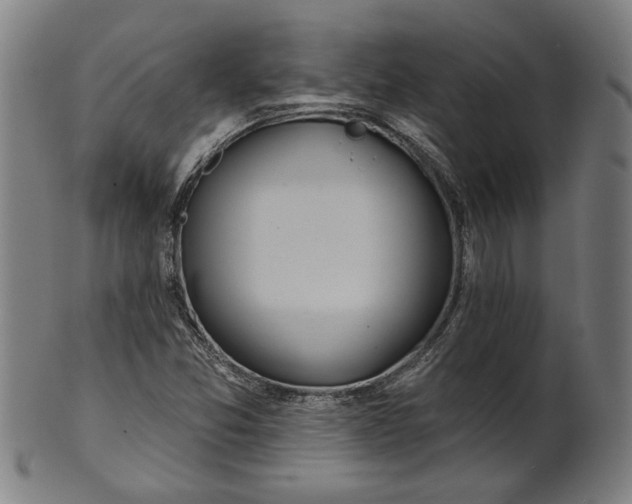 X0000100841357200807111141