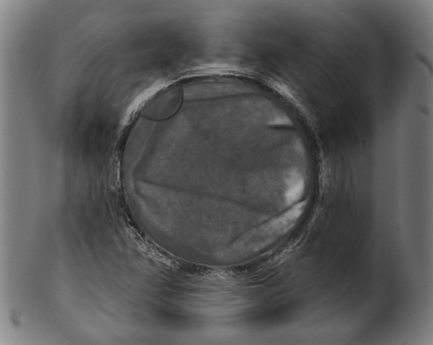 X0000100841358200807111141