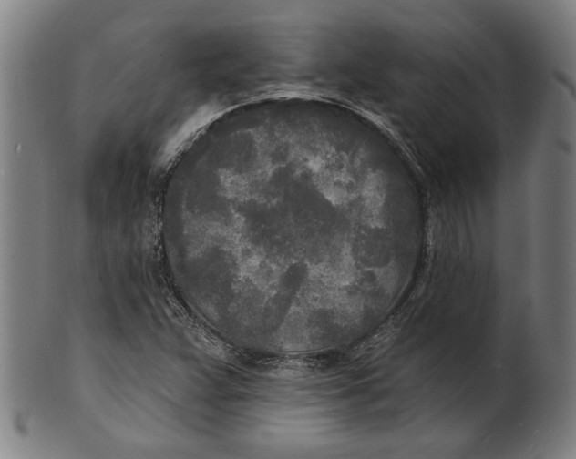 X0000100841359200807111141