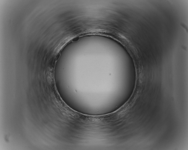 X0000100841361200807111141