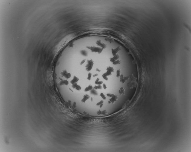 X0000100841362200807111141