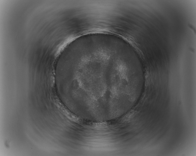 X0000100841363200807111141