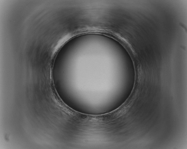 X0000100841365200807111141