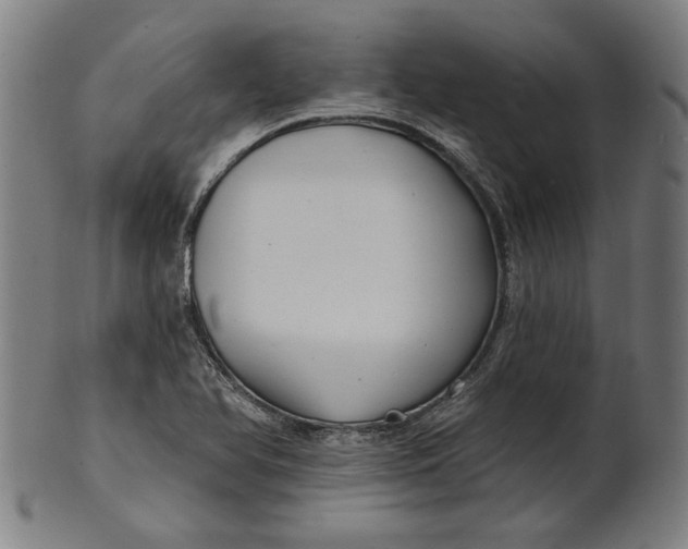 X0000100841366200807111141