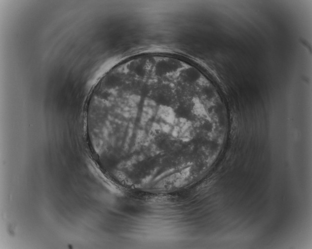 X0000100841367200807111141