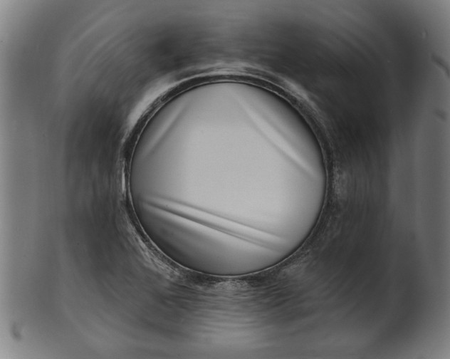 X0000100841368200807111141