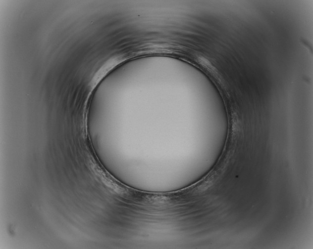 X0000100841370200807111141