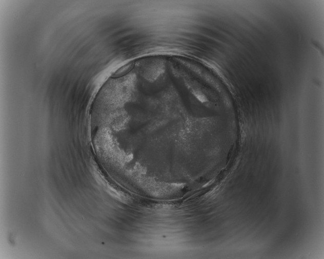 X0000100841371200807111141