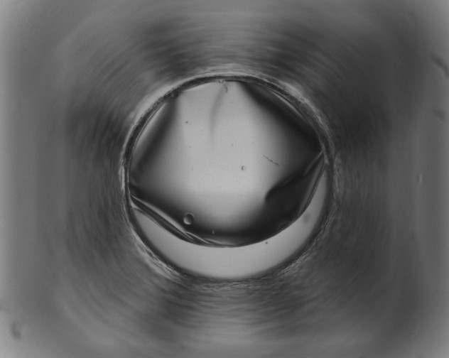 X0000100841372200807111141