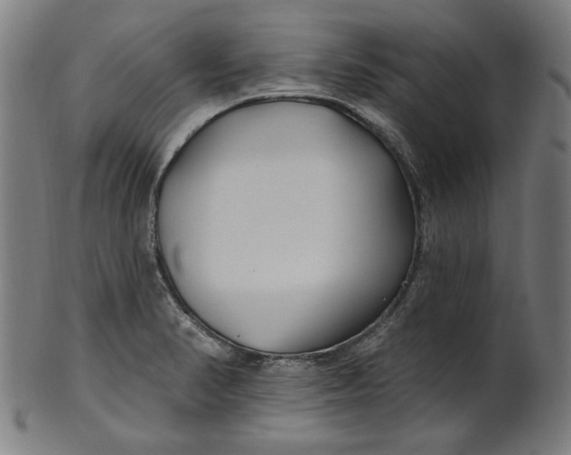 X0000100841374200807111141