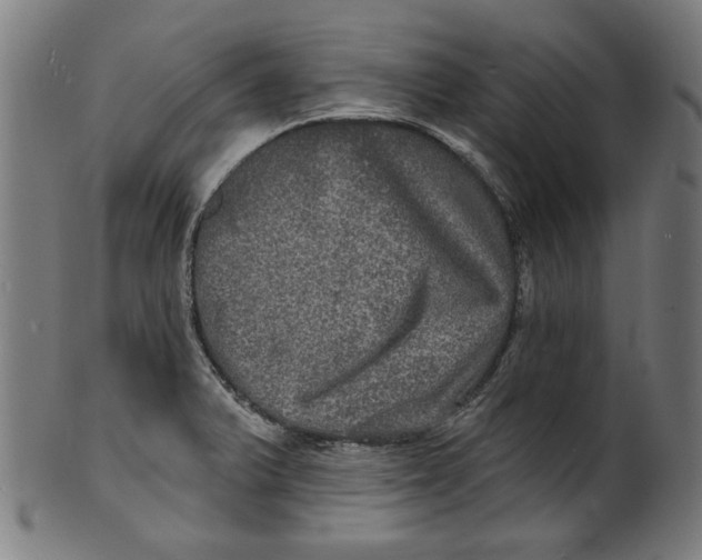 X0000100841375200807111141