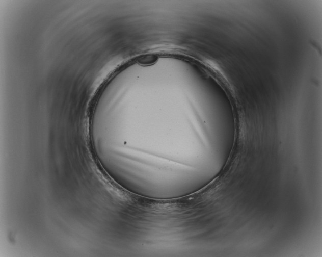 X0000100841376200807111141