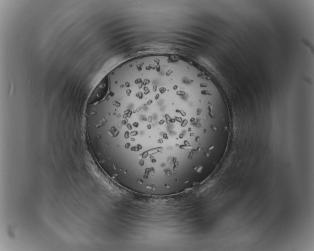 X0000100841378200807111141