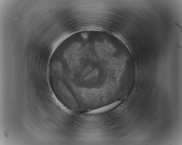 X0000100841379200807111141