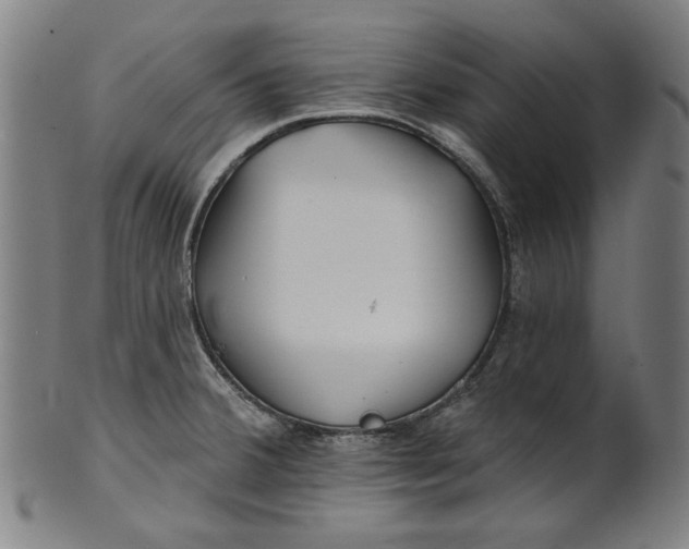 X0000100841380200807111141