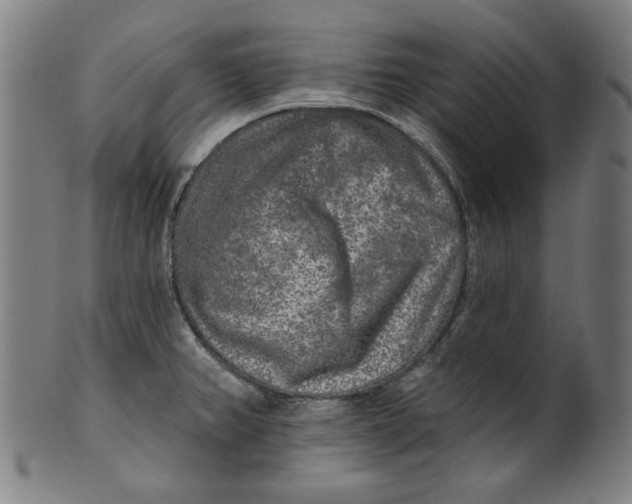 X0000100841382200807111141