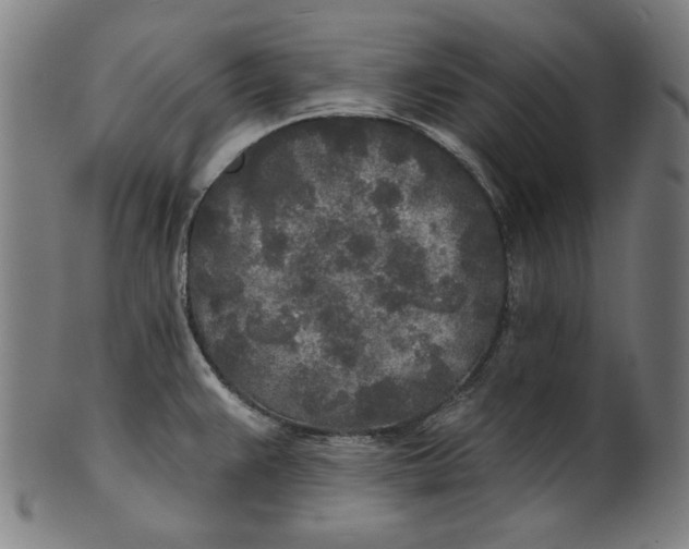 X0000100841383200807111141