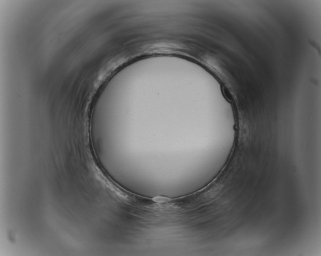 X0000100841384200807111141