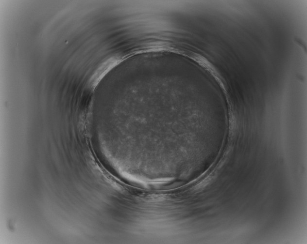 X0000100841385200807111141