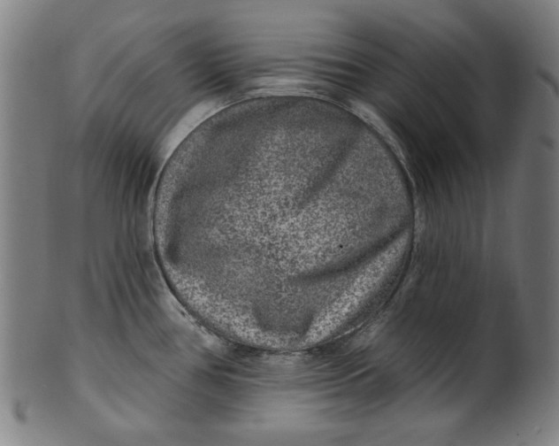 X0000100841386200807111141