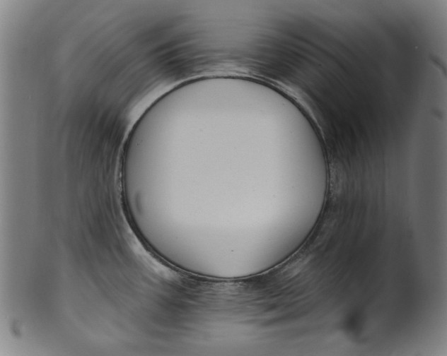 X0000100841387200807111141