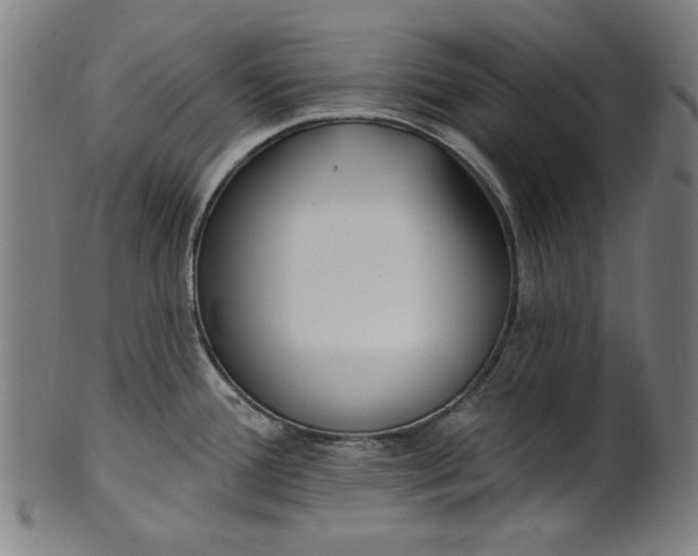 X0000100841388200807111141