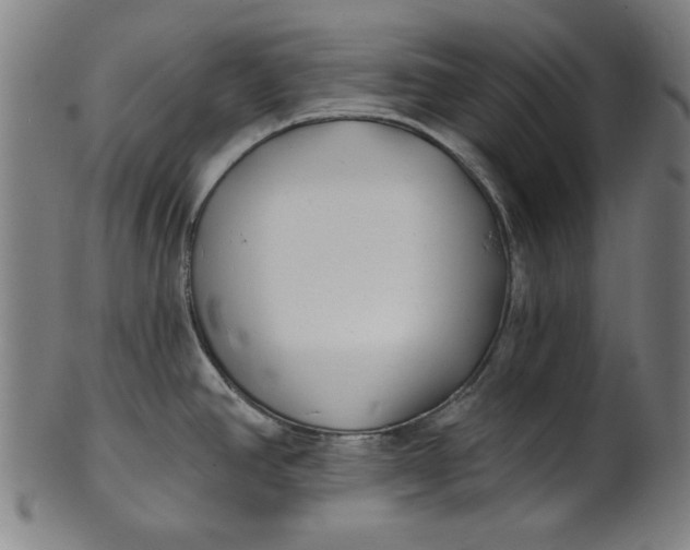 X0000100841390200807111141