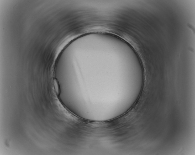 X0000100841392200807111140