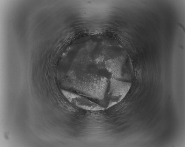 X0000100841393200807111140