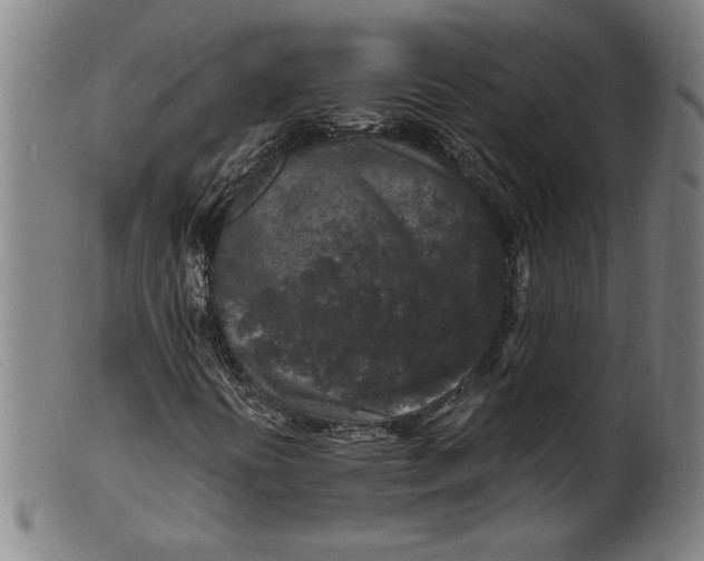 X0000100841394200807111140