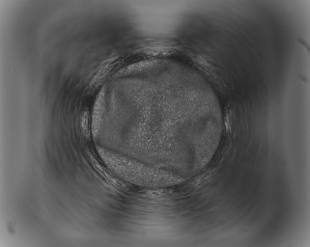 X0000100841396200807111140