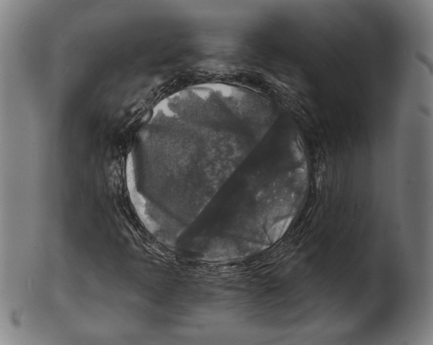 X0000100841397200807111140