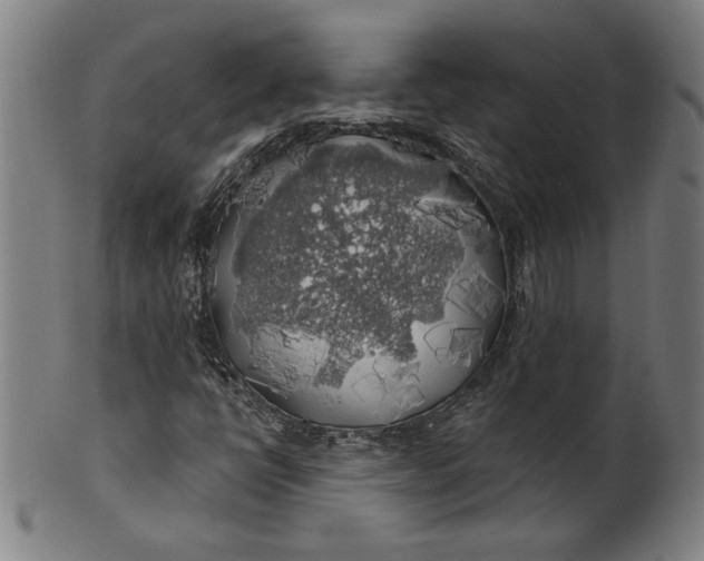 X0000100841398200807111140