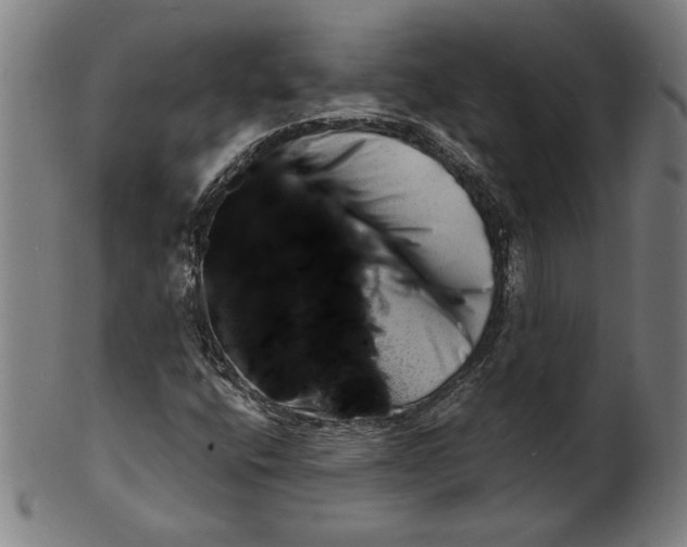 X0000100841400200807111140