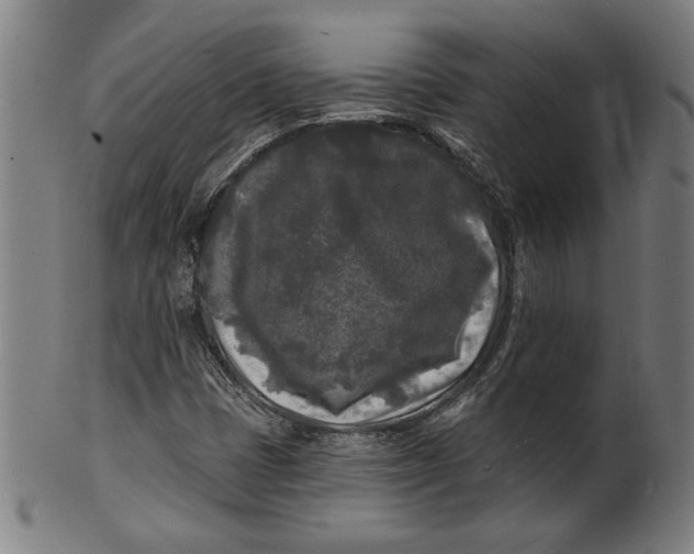 X0000100841401200807111140