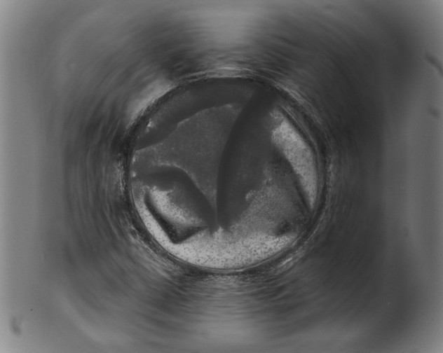 X0000100841402200807111140