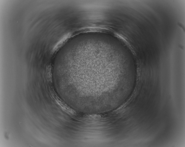 X0000100841403200807111140