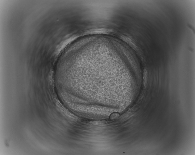 X0000100841404200807111140