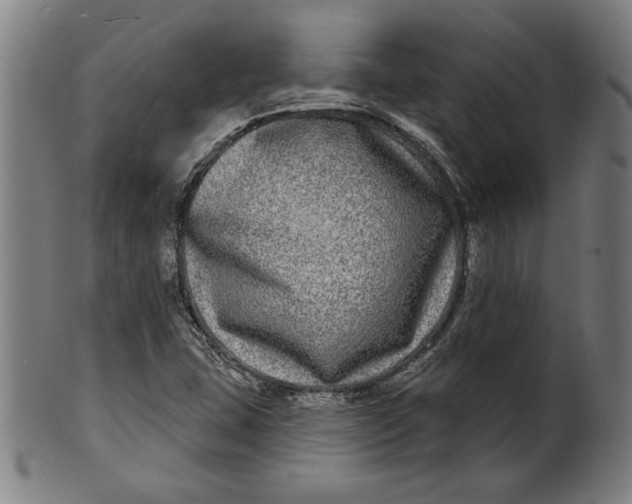 X0000100841407200807111140