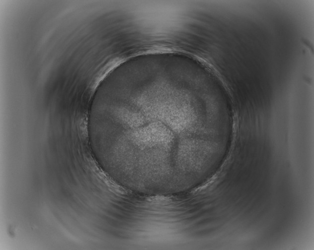 X0000100841409200807111140