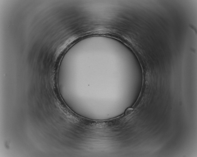 X0000100841410200807111140