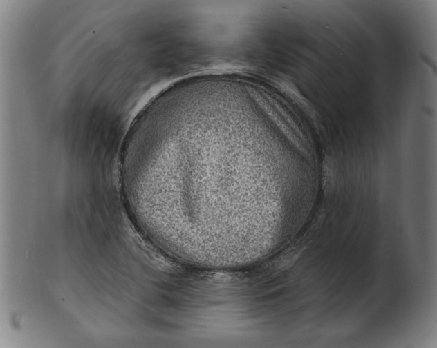 X0000100841412200807111140