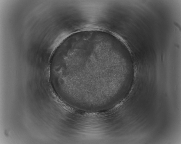 X0000100841415200807111140